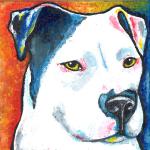 3 x 3 inch acrylic painting for The Love Pit rescue group silent auction. "Loxie"